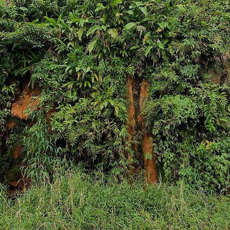 Le Petit Paradis Roseau Exterior foto