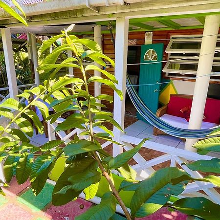 Le Petit Paradis Roseau Exterior foto