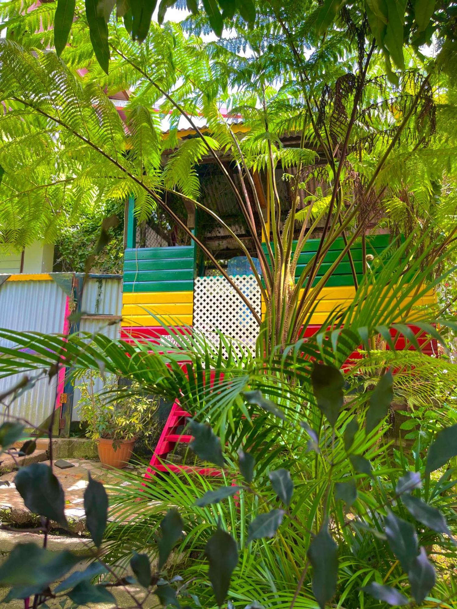 Le Petit Paradis Roseau Exterior foto