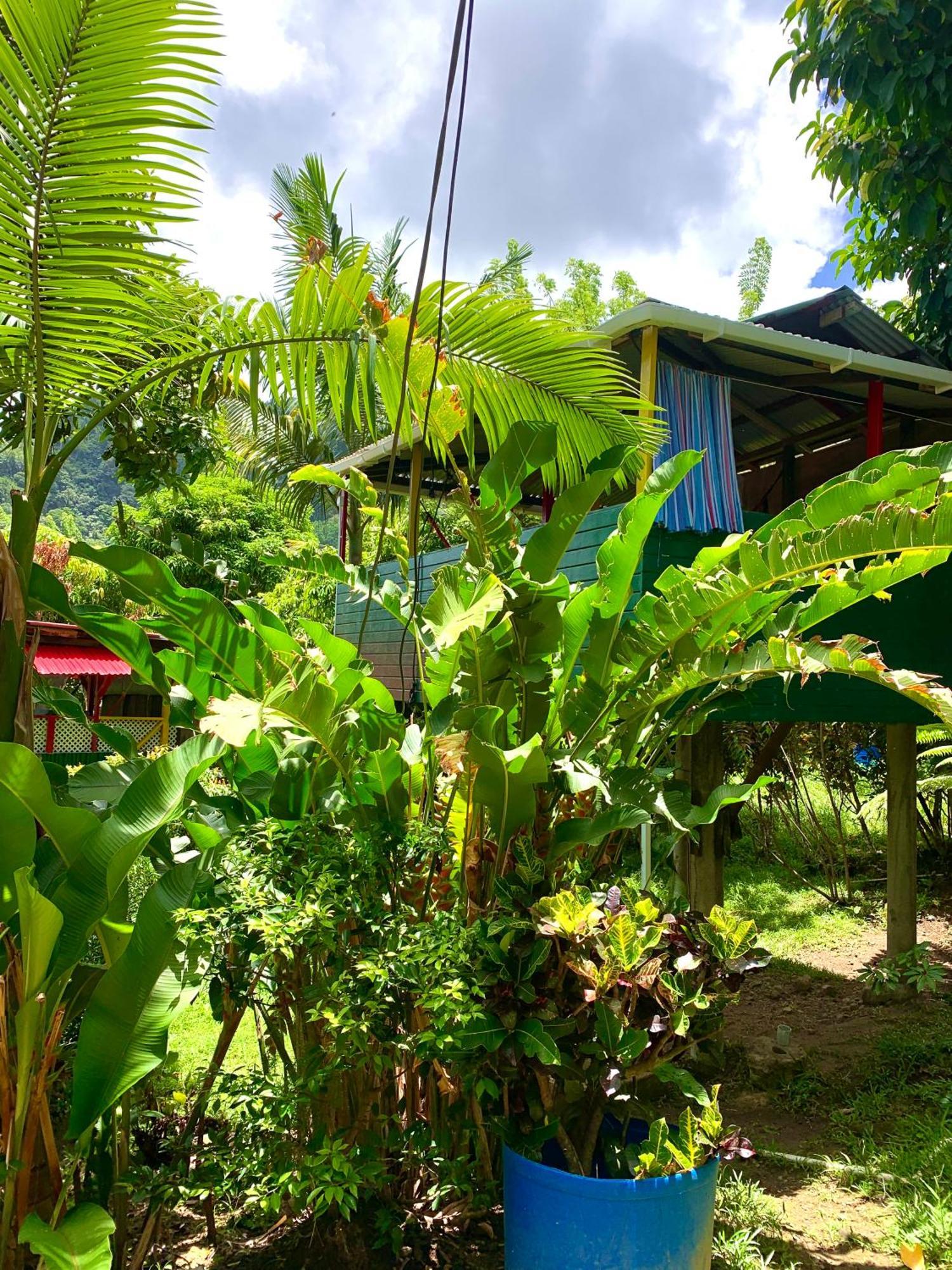 Le Petit Paradis Roseau Exterior foto