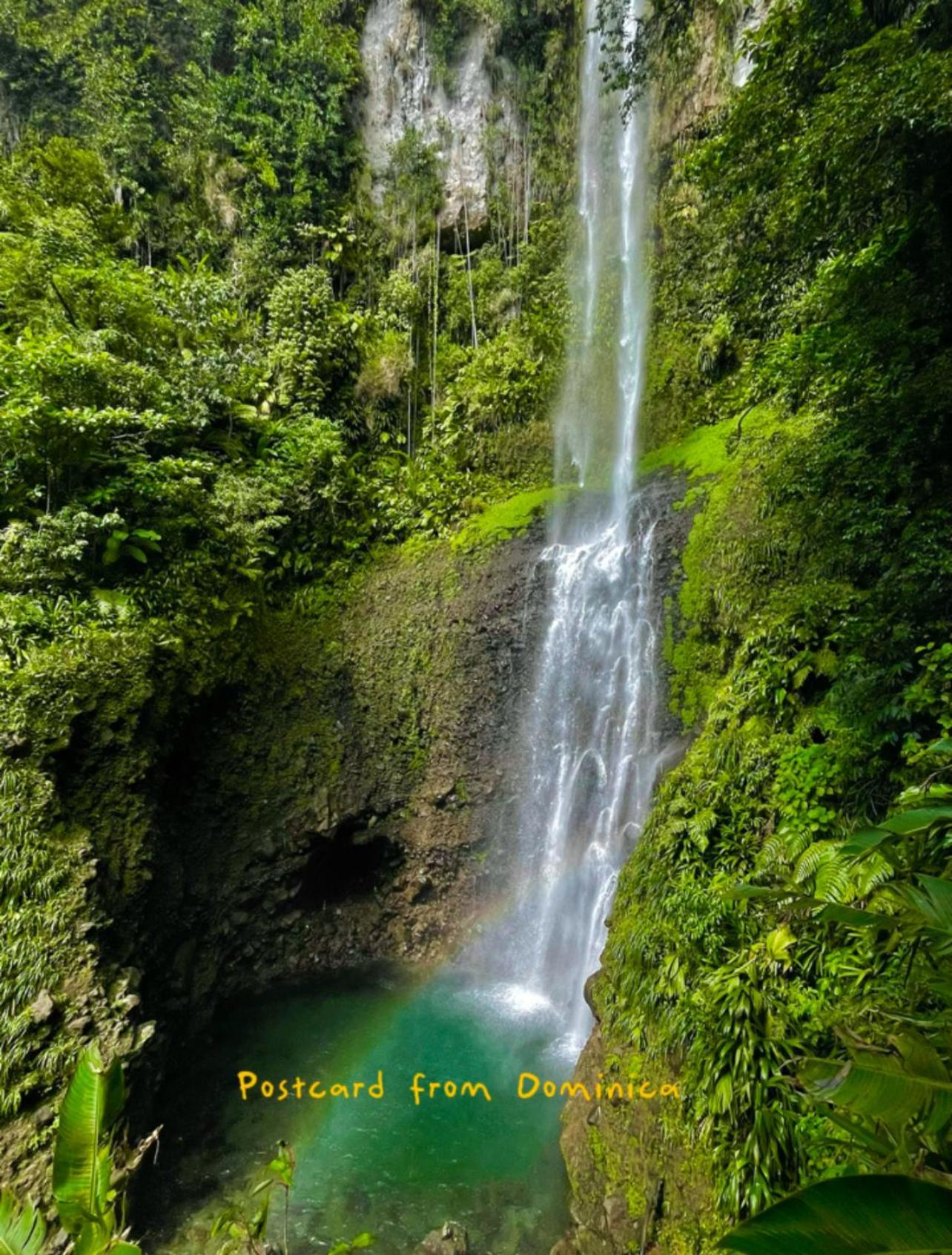 Le Petit Paradis Roseau Exterior foto